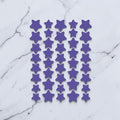 PERENNE Star Patches
